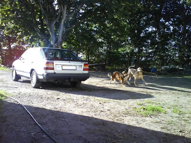 Saab 9000 2.0 Turbo billede 1