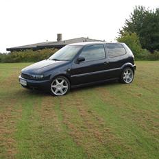 VW POLO 6N 16V ...SOLGT..