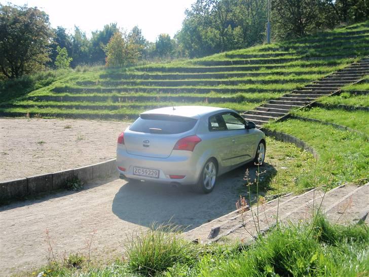 Kia Pro_Ceed billede 4