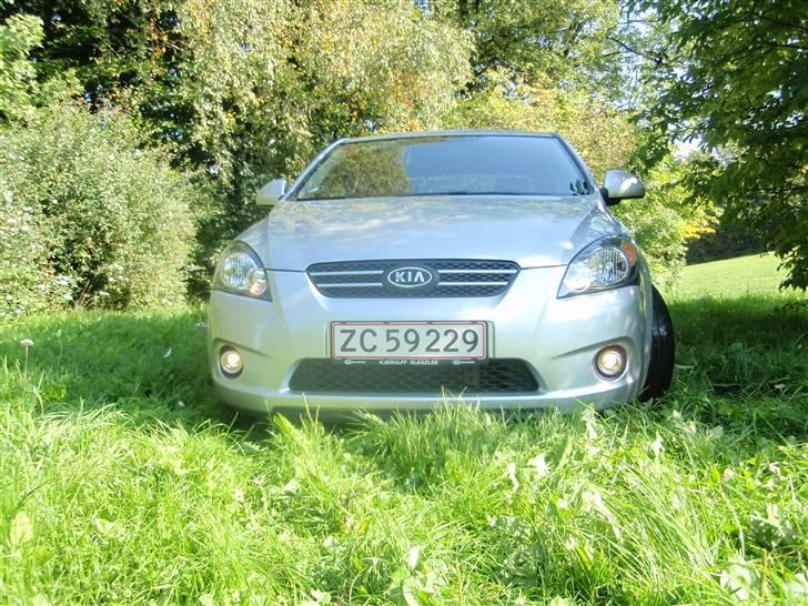 Kia Pro_Ceed billede 12