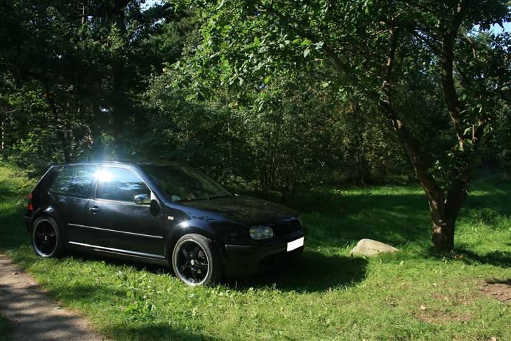 VW Golf 4 Trendline billede 4