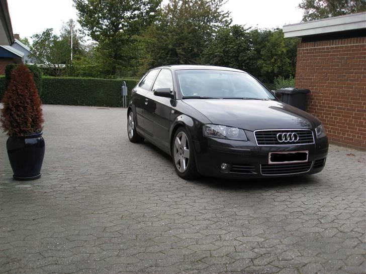 Audi A3  billede 7