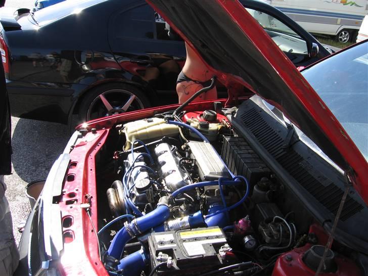 Lancia Dedra HF Integrale - Flasher blå silicone! læk nu lige mårke til numsen ik.. billede 3