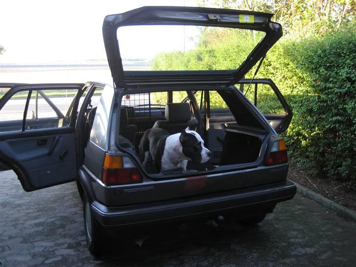 VW Golf II "Nicolai" billede 8