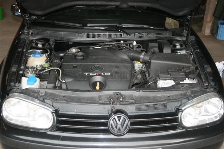 VW Golf 4 Trendline billede 12