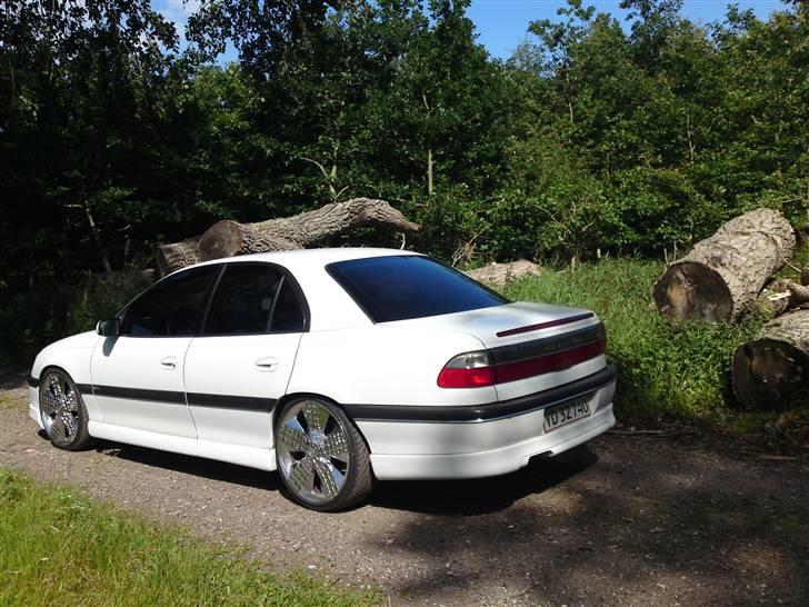 Opel Omega B MV6 • Cadillac •  - Min nye Cadillac Catera bagende.. Sted: Amagerstrandpark billede 2