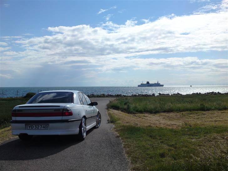 Opel Omega B MV6 • Cadillac •  - Sted: Gedser billede 3