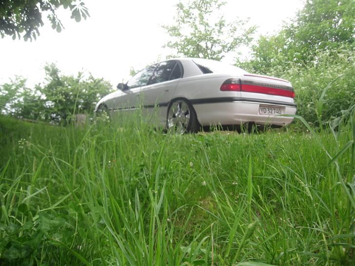 Opel Omega B MV6 • Cadillac •  - Sted: Kastrupfortet billede 6