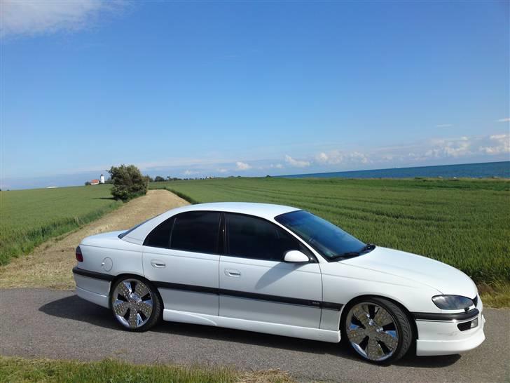 Opel Omega B MV6 • Cadillac •  - Sted: Gedser billede 11