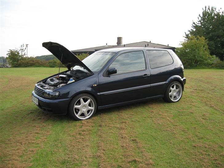 VW POLO 6N 16V ...SOLGT.. billede 8