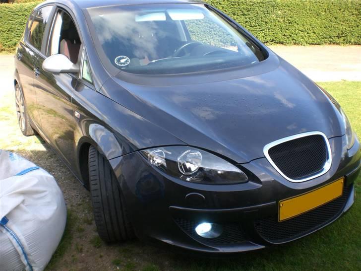 Seat Altea billede 2