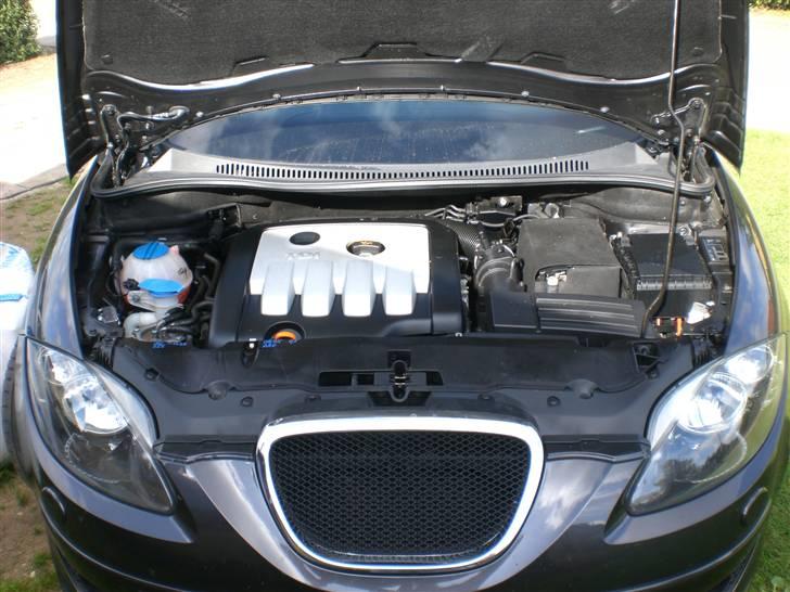 Seat Altea billede 9