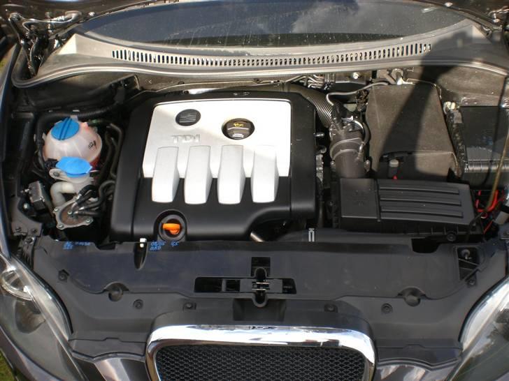 Seat Altea billede 10