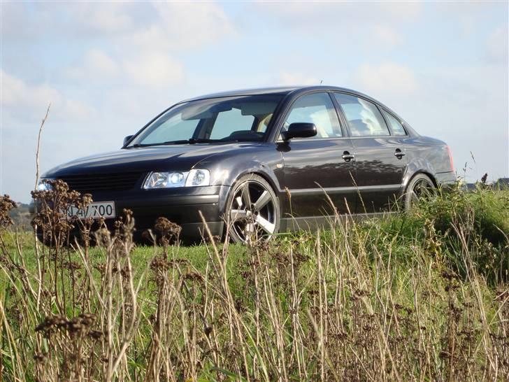 VW Passat 1,8 T - ny malede fælge, klare lygter og xenon billede 16