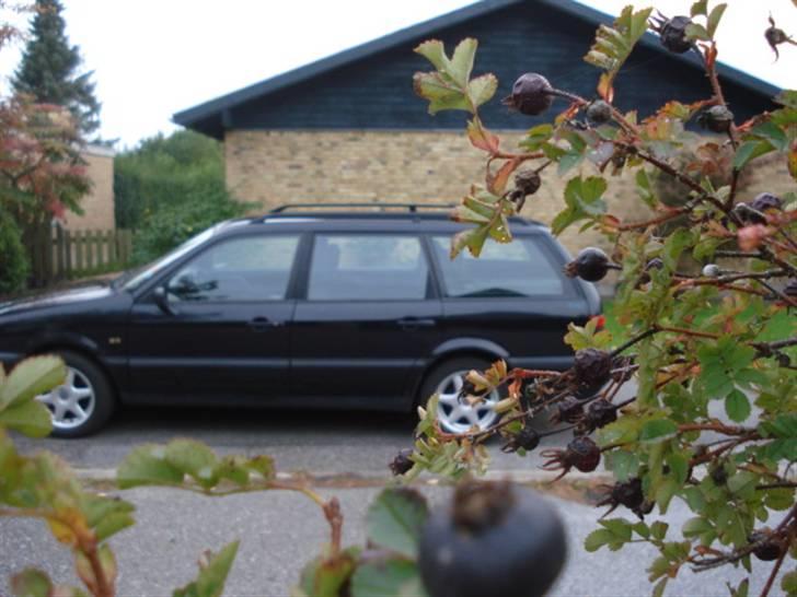 VW Passat billede 10