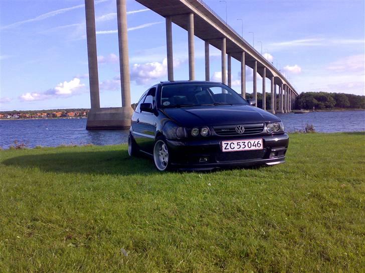 VW Polo GTI Limited edition billede 1