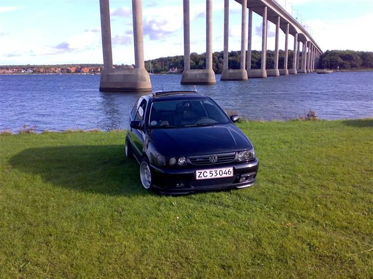 VW Polo GTI Limited edition billede 5