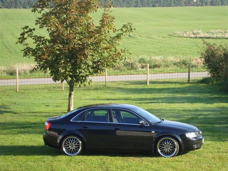 Audi A4 billede 16