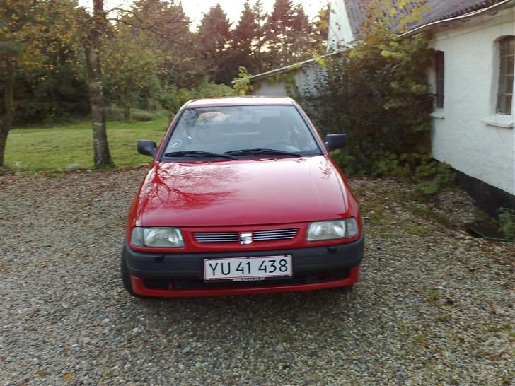 Seat Ibiza billede 2