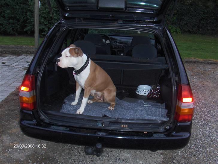 Ford escort st.car - grunden til det skulle være en st.car billede 3