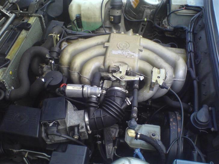 BMW 320i e30 Solgt  - 2.0 motor  billede 18