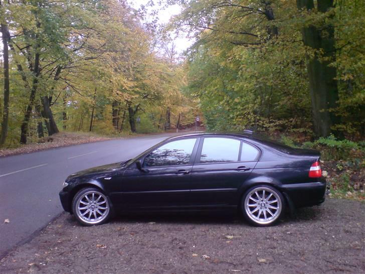 BMW E46 320d - 150HK - Så blev der tonet en lille anelse i alle ruder, jeg bryder mig ikke om mere end dette billede 7