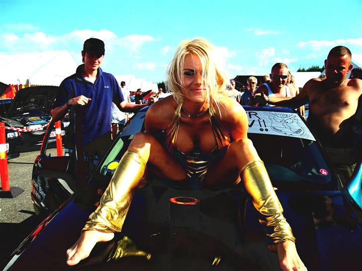 Opel vectra "DHB 08" "skrottet billede 8