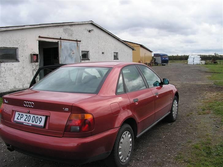 Audi A4  - og her er der et billede taget af den bagfra billede 6