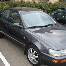 Toyota corolla  Fantastic (solg)