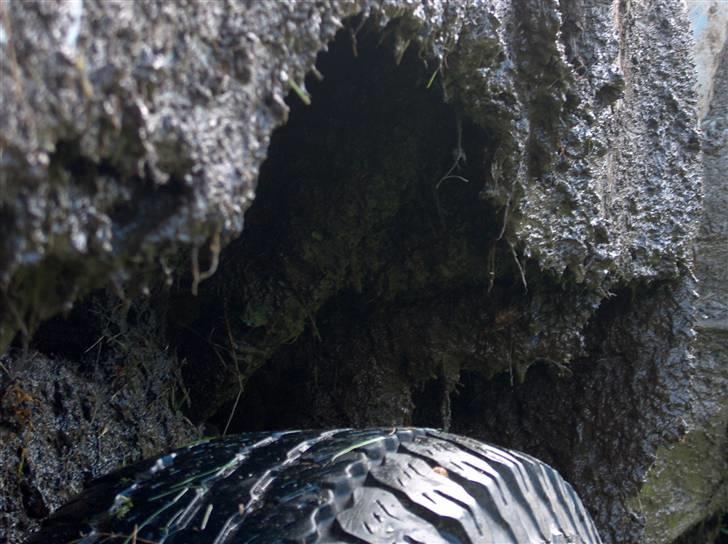 Nissan kingcab (solgt) billede 14