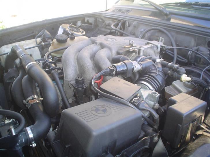 BMW 325i coupe (SOLGT) billede 7