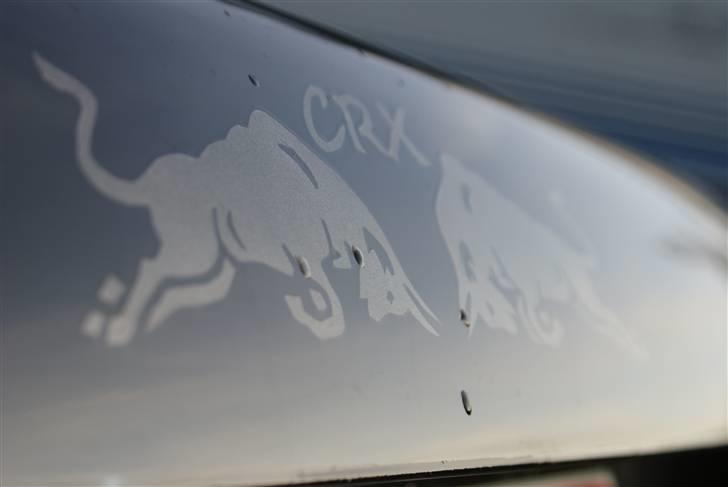 Honda CRX Del Sol - Solgt billede 15