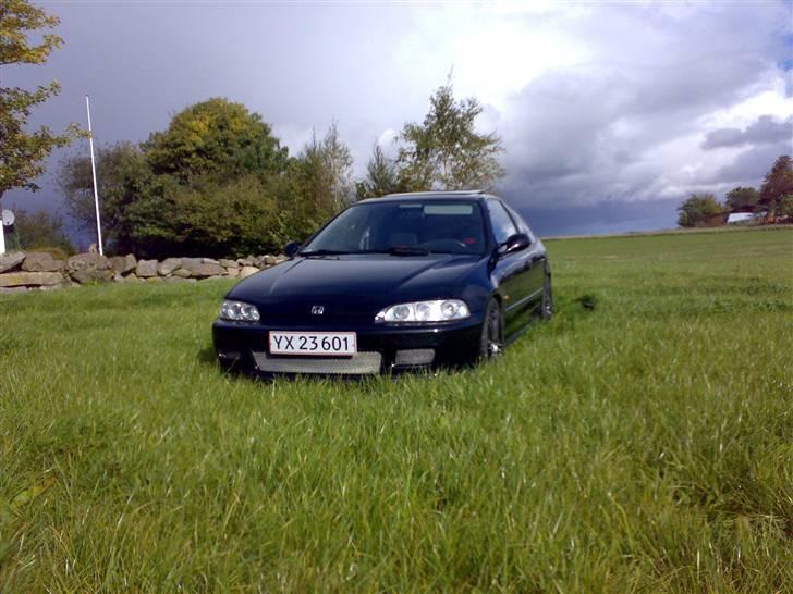 Honda civic coupe - solgt- billede 2
