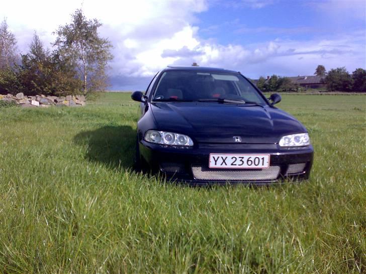 Honda civic coupe - solgt- billede 3