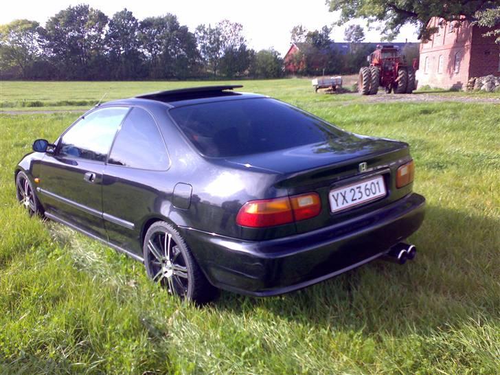 Honda civic coupe - solgt- billede 6