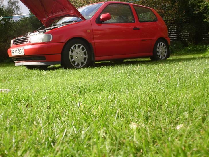 VW Polo 6n SOLGT billede 1