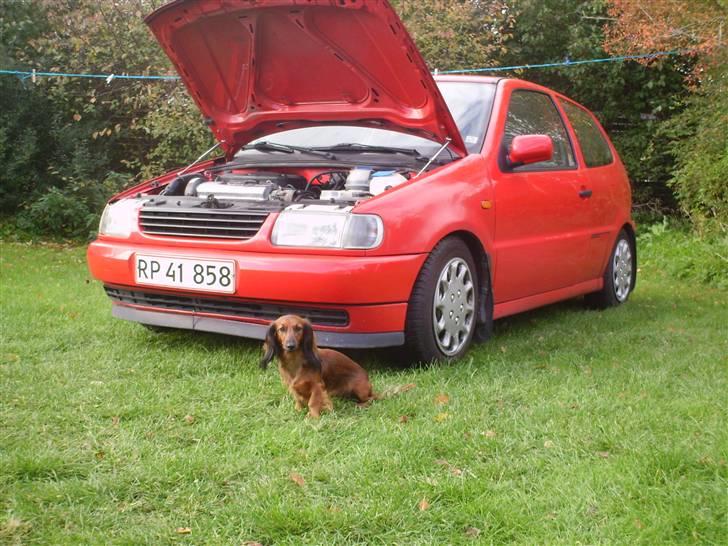 VW Polo 6n SOLGT billede 10