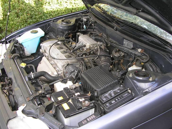 Toyota corolla  Fantastic (solg) billede 9