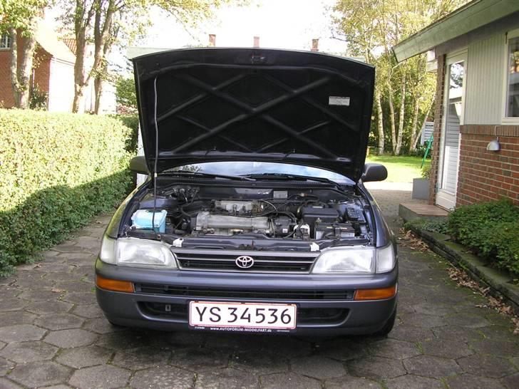 Toyota corolla  Fantastic (solg) billede 11