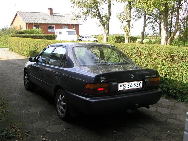 Toyota corolla  Fantastic (solg) billede 13