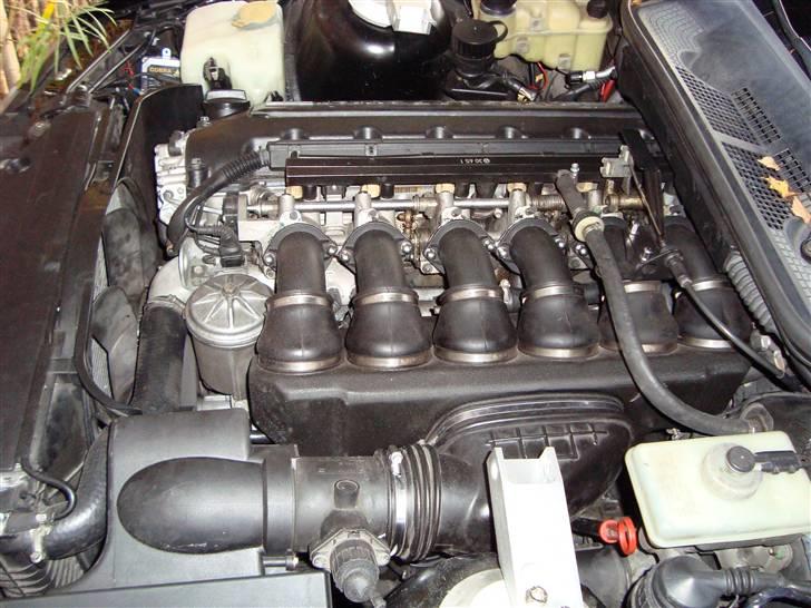 BMW e36 320 alt m3  billede 2