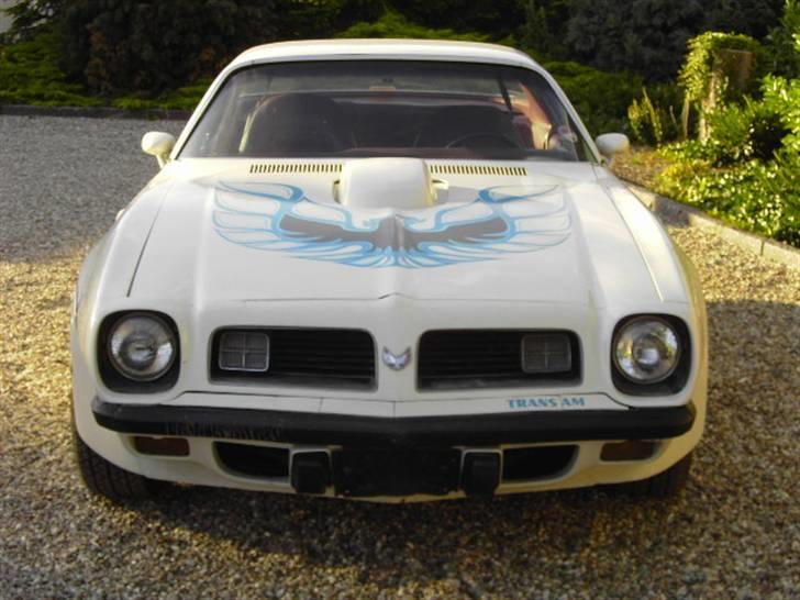 Pontiac Transam. solgt - det er en fed detalje med ørnen. . . billede 2