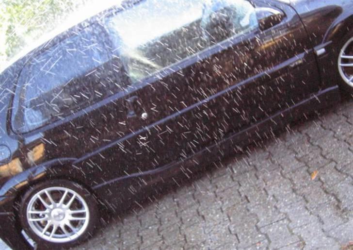 Citroën Saxo 1,6iSport<vts>SOLGT! - Utroligt, hvordan vand ser ud - når man tager et billede :P billede 12