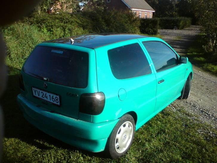 VW Polo 6N "Greenline"  billede 14