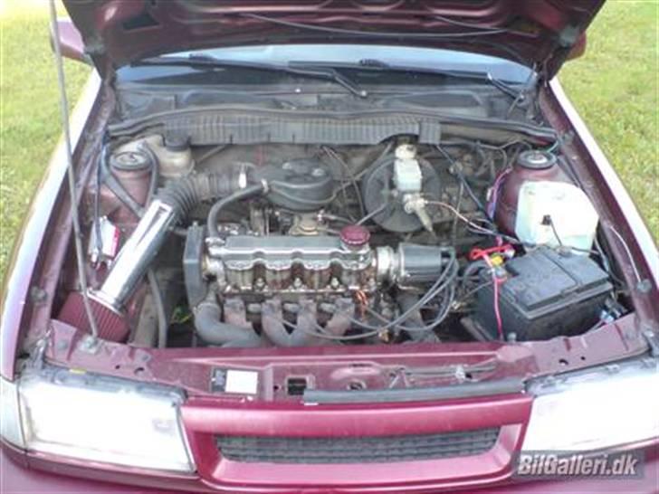 Opel vectra a solgt  billede 7