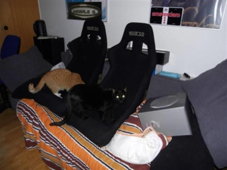 Toyota Corolla (SOLGT) - Sparco sæderne bliver lige efterset af min mors 2 katte billede 11