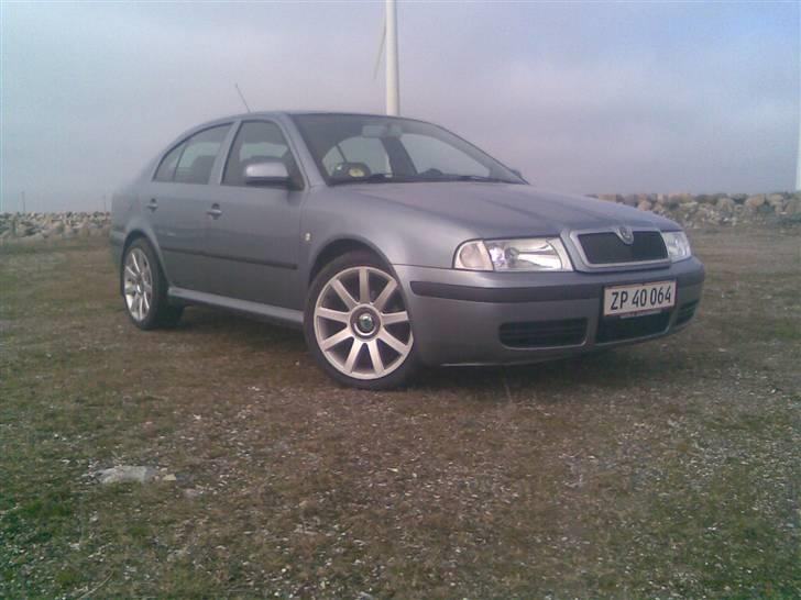 Skoda Octavia - så blev set sommer billede 1