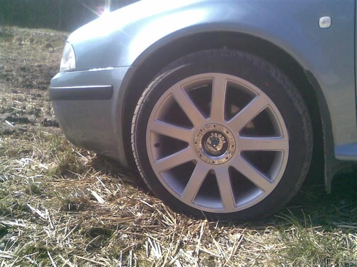 Skoda Octavia billede 5