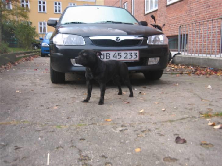 Mazda 323F DITD billede 1