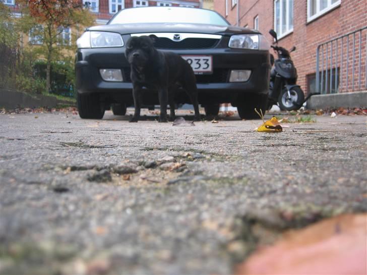 Mazda 323F DITD billede 12